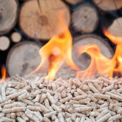 31038272 - pine pellets infront a wall of firewoods in flames